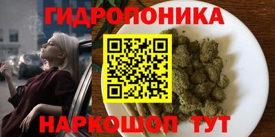 индика Чебаркуль