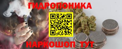 индика Чебаркуль