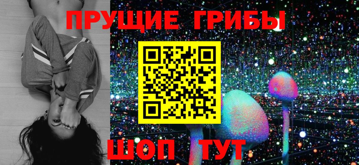 Галлюциногенные грибы мухоморы Сыктывкар